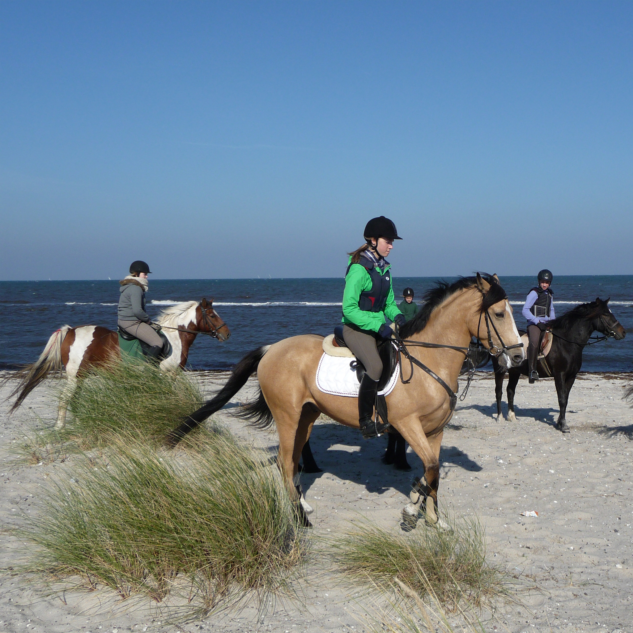 Gemeinsam ausreiten am Strand Gemeinsam ausreiten am Strand