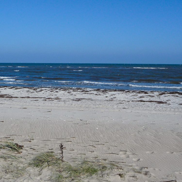 Ostseestrand in Angeln