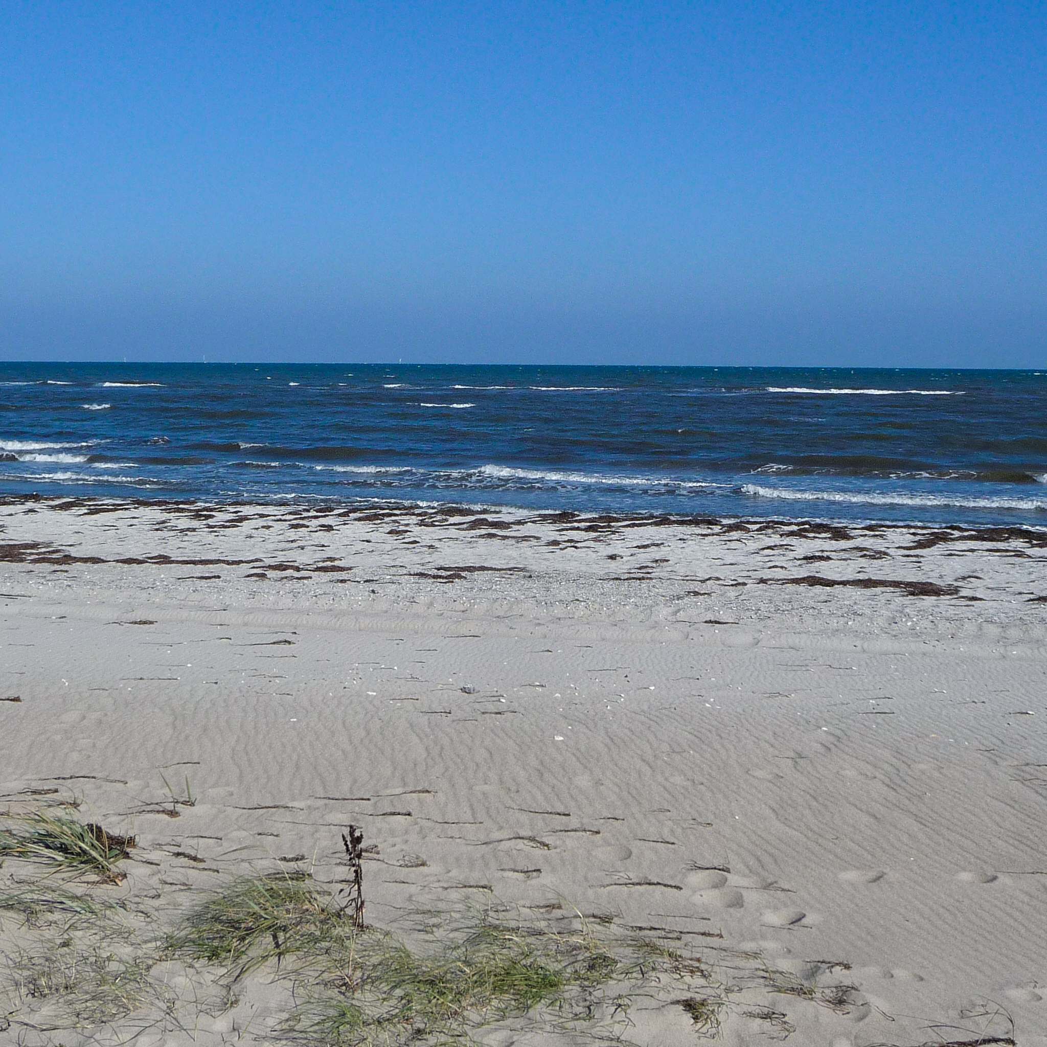 Ostseestrand unweit des Gut Priesholz Ostseestrand unweit des Gut Priesholz