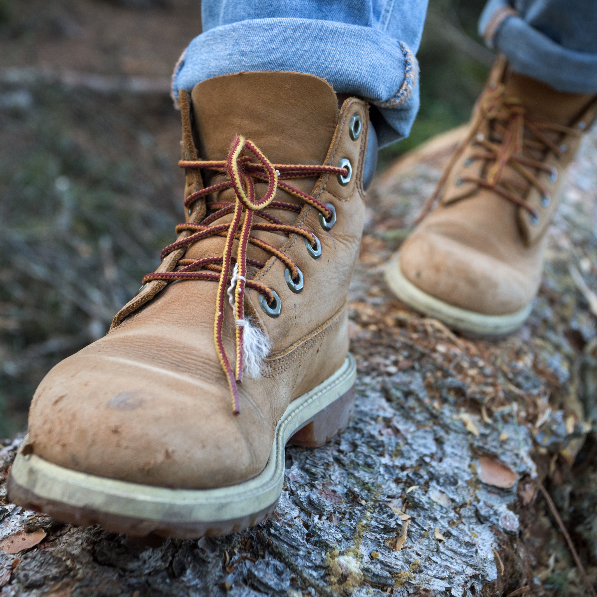 Wandern zwischen Schlei und Ostsee Wandern zwischen Schlei und Ostsee